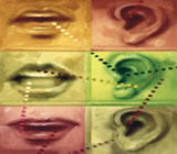 Fonoaudiologia em Jaboatão dos Guararapes